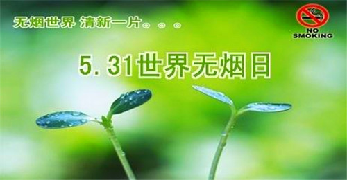 让地球起床_650字