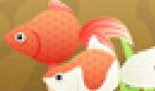 初二状物作文：可爱的小金鱼_800字