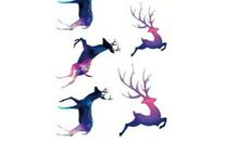 那点点梅花的小鹿_2000字