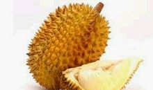 初二状物作文：榴莲_750字