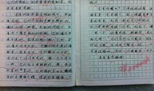 初二状物作文：一张碟片_500字