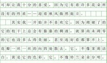 初二状物作文：磁浮列车_800字