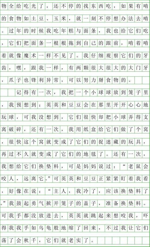 第一个双向组成：幽灵书签_800字