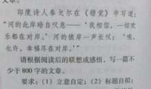 [PK赛]关于“环保”的作文：期盼_600字