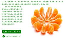 初三状物作文：小桔子_750字