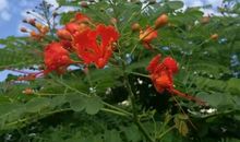 [PK赛]关于陪伴的作文：温暖的河流_650字