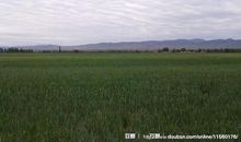 找寻记忆之城_900字