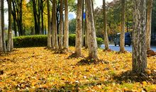 那年秋风很冷_1200字