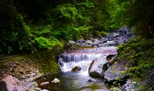 “五一”游记_1200字