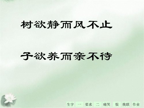 缺少_400字