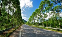 路上的风景（五）_650字