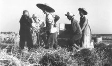 60周年大事记之1980-1989：家庭联产承包责任制确立