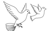 关于和平的作文：和平鸽边有花香_1500字