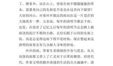 关于和平的作文：“缅怀英烈，祈望和平”_650字