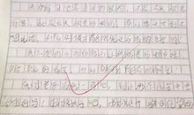[PK赛]关于生活中的一个小镜头的作文：生活中的一个小镜头之校长_700字