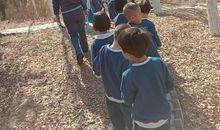 小树林探险_1000字