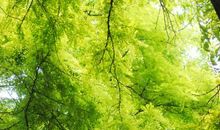 精彩每一天_400字