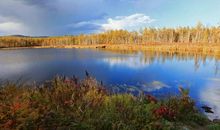 动人的风景_750字