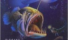 一次激动的海底探险_1200字