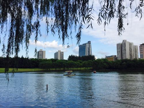 旅游黄兴公园_600字