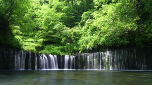 特殊风景_900字
