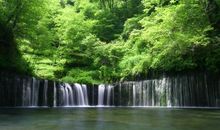 特别的风景_900字