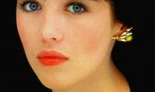 树的悲剧感_550字