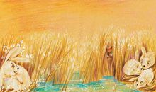 解救火狐读后感