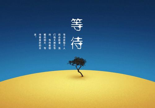 我的心在等待_800字
