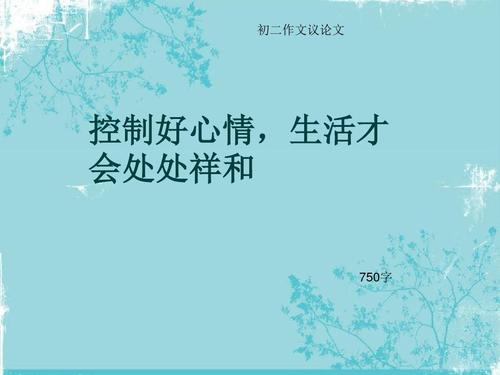追求（讨论文件）_750字