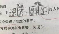 记一位我最佩服的人_550字