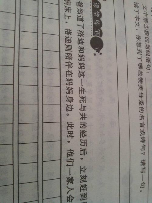 母亲爱说：赞美着名的母亲的谚语_800字