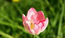 与塑料瓶的缘分_600字