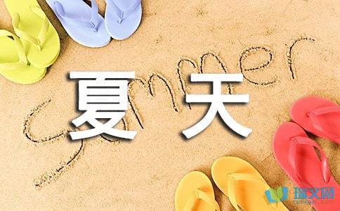 夏天雨_450字