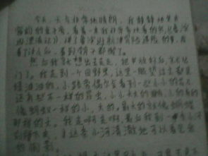 走出八年级，见600字