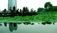 美丽的市民广场_700字