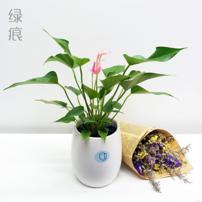 教师老师的印象
