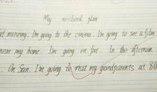 初一写人作文：财迷弟弟_750字