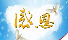 夏季里的亲情_500字