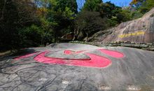 我家的大水牯牛_500字