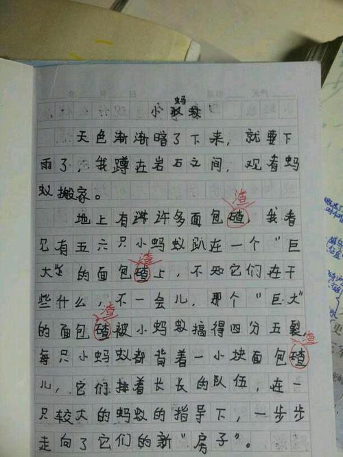 月_100字