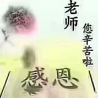 我的董事老师_550字