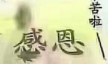 我最敬爱的老师_550字