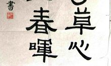 谁言寸草心，报得三春晖_400字
