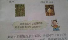 诚信,是你我共同的财富_1200字