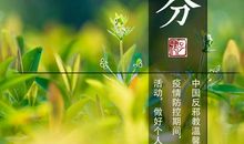 [春天来了]曼妙的春_700字