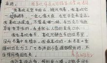 我喜欢上网_300字