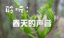 [春天来了]一件不大不小的春天_650字