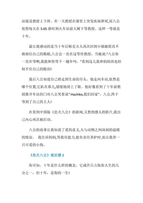 这里还有一个故事_700字