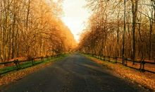 这样的人让我心存感激_650字